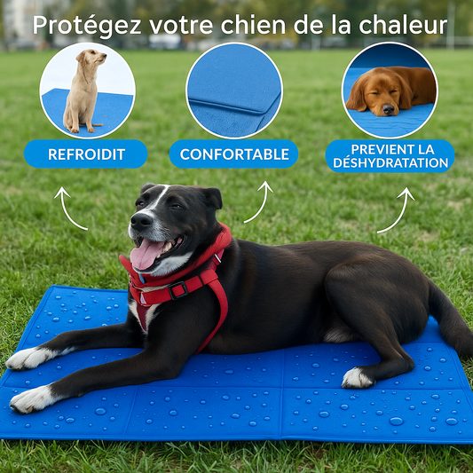 Tapis rafraîchissant - Luvenet®